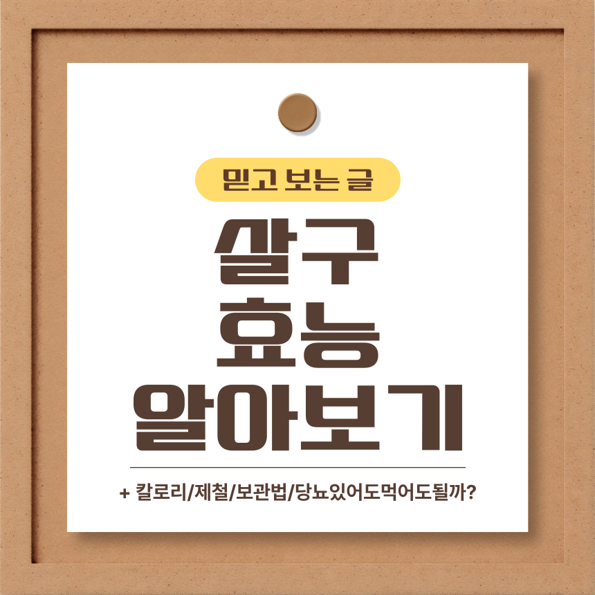  살구 효능 알아보기