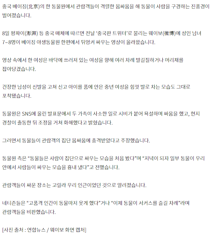  중국 동물원서 관람객끼리 집단 몸싸움...동물이 사람구경