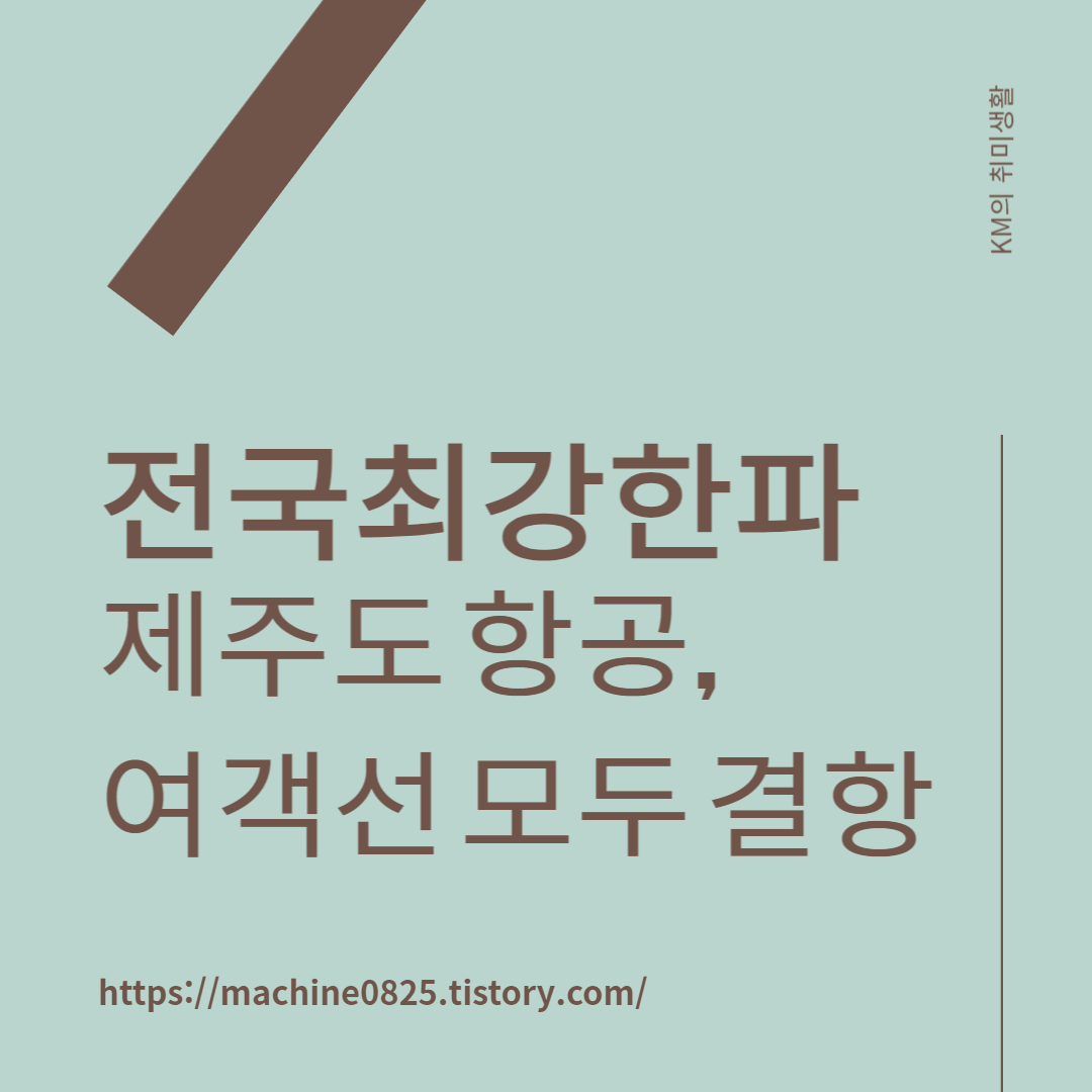  설 연휴 마지막 날 대설, 한파 특보, 제주도 항공편 전편 결항, 대책은?