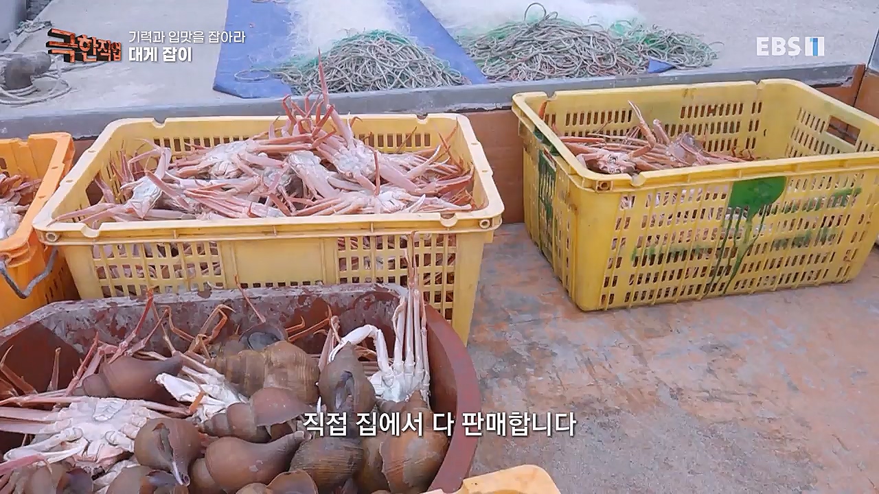 TV - 교육의 중심 EBS기력과 입맛을 잡아라 장어와 대게.mp4_20230313_183621.662.jpg