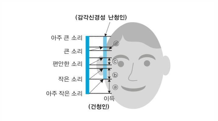  [일산보청기] 말소리 이해를 위한 청각 압축기술에 대해 - 말소리 보존