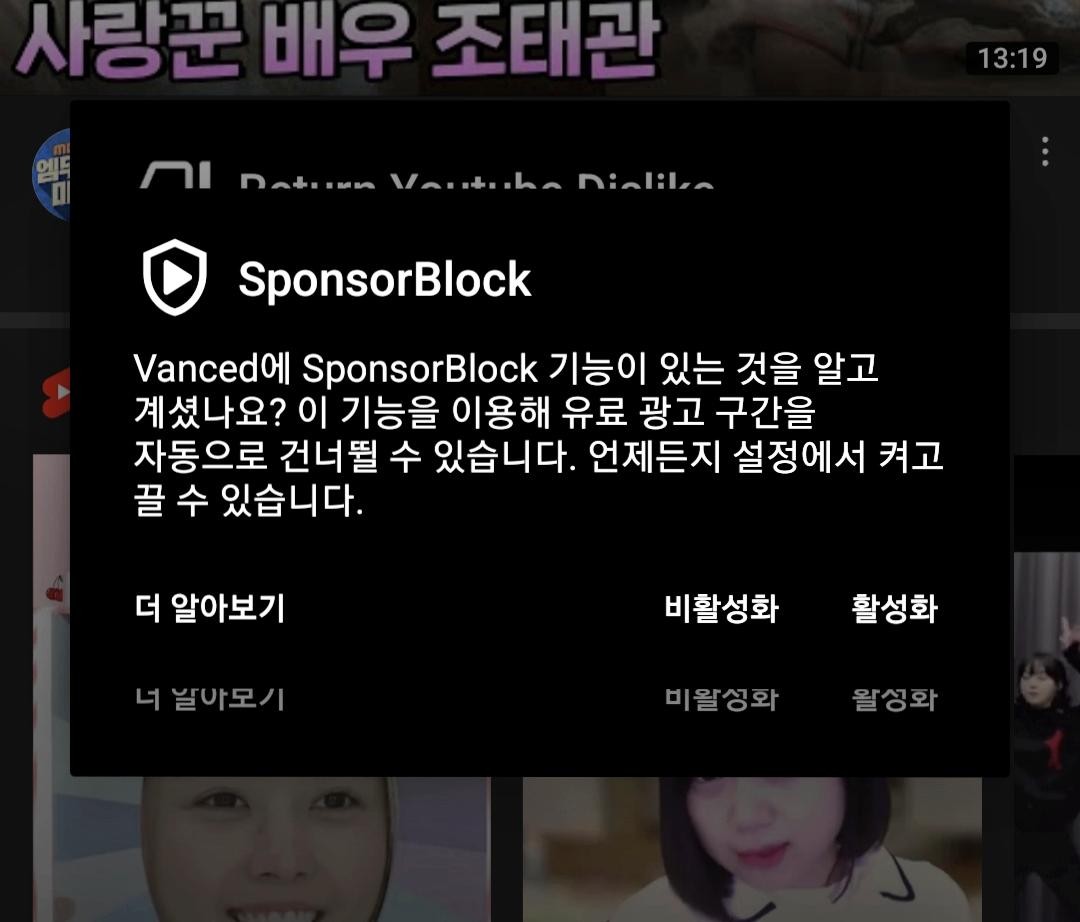 sponsorblock 기능 활성화