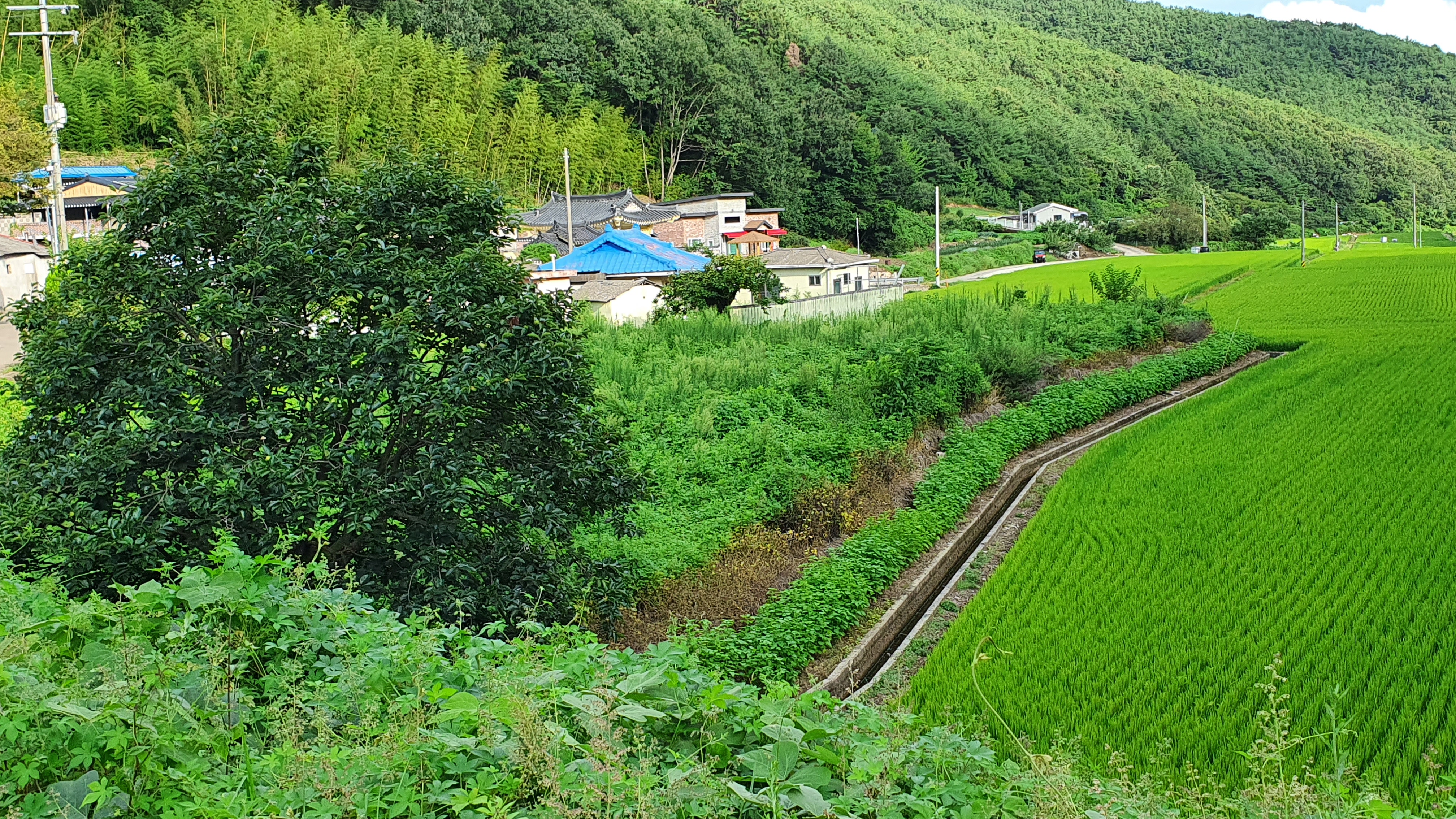  (땅나라 377번) 경남 의령군 용덕면 소재, 도로 접한 마을입구 토지          2필지 매매 / 문의 055)585-0053