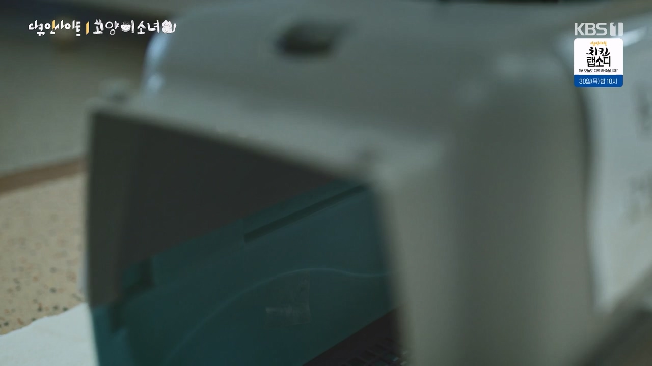 다큐 인사이트.E189.240524p-NEXT.mp4_20240524_205111.614.jpg