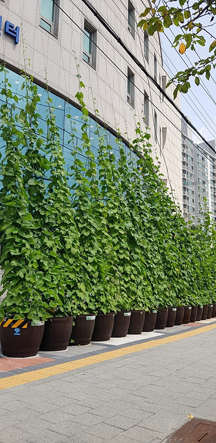 kbs1tv 다큐온 KBS1TV // 회천3동 생태그늘막 3