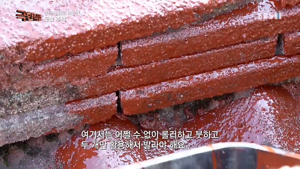 TV - 교육의 중심 EBS오래된 집의 재발견 농가와 도심 주택.mp4_20221120_152008.224.jpg