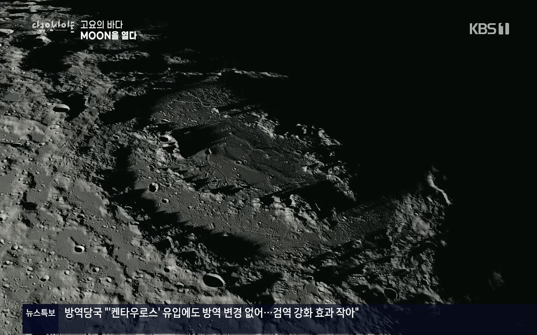 다큐 인사이트.E118.220728p.H264-F1RST.mp4_20220729_212205.870.jpg