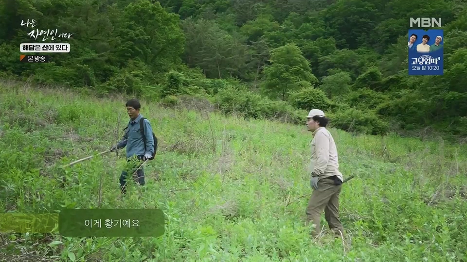 나는 자연인이다.E559.230621p.H264-F1RST.mp4_20230622_204023.380.jpg