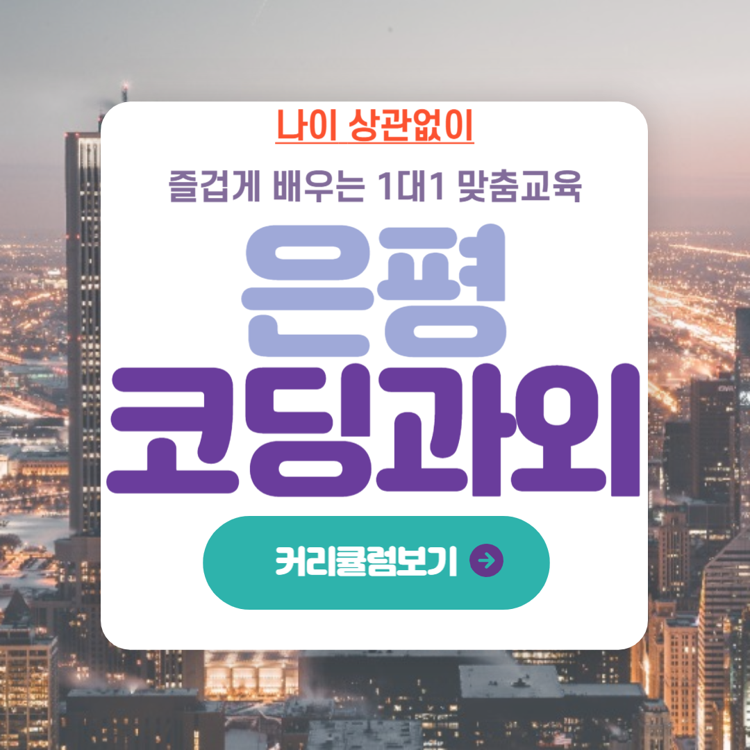  은평 코딩 과외 은평뉴타운 컴퓨터 학습 초등 중등 자바 파이썬 C언어 학습