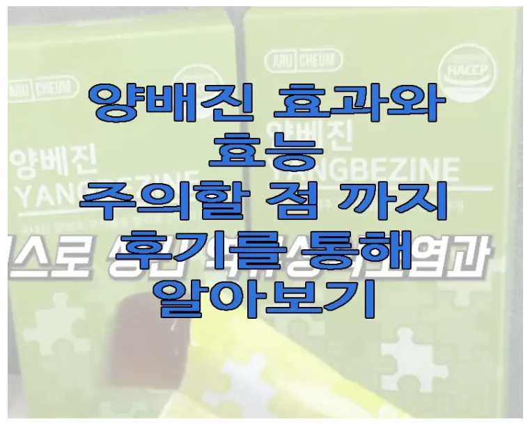 양베진에 관한 글 보러 가기 링크 사진
