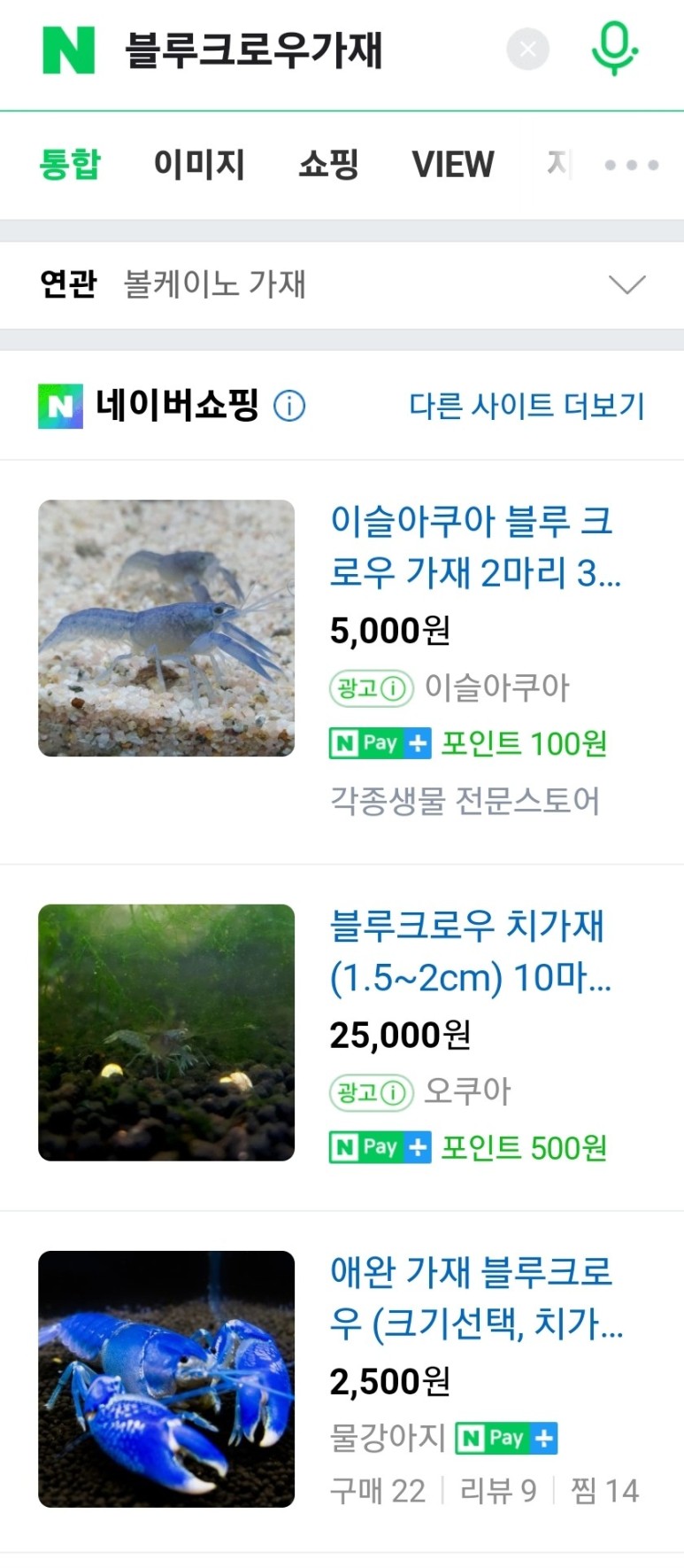 다이소화분 아이템으로 저렴한 가격에 생선, 청어 기르기(혼자 키운지 2개월 후) 12
