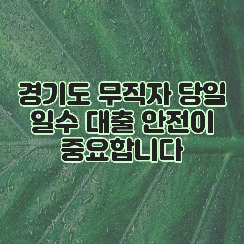 경기도 무직자 당일 일수 대출 안전이 중요합니다