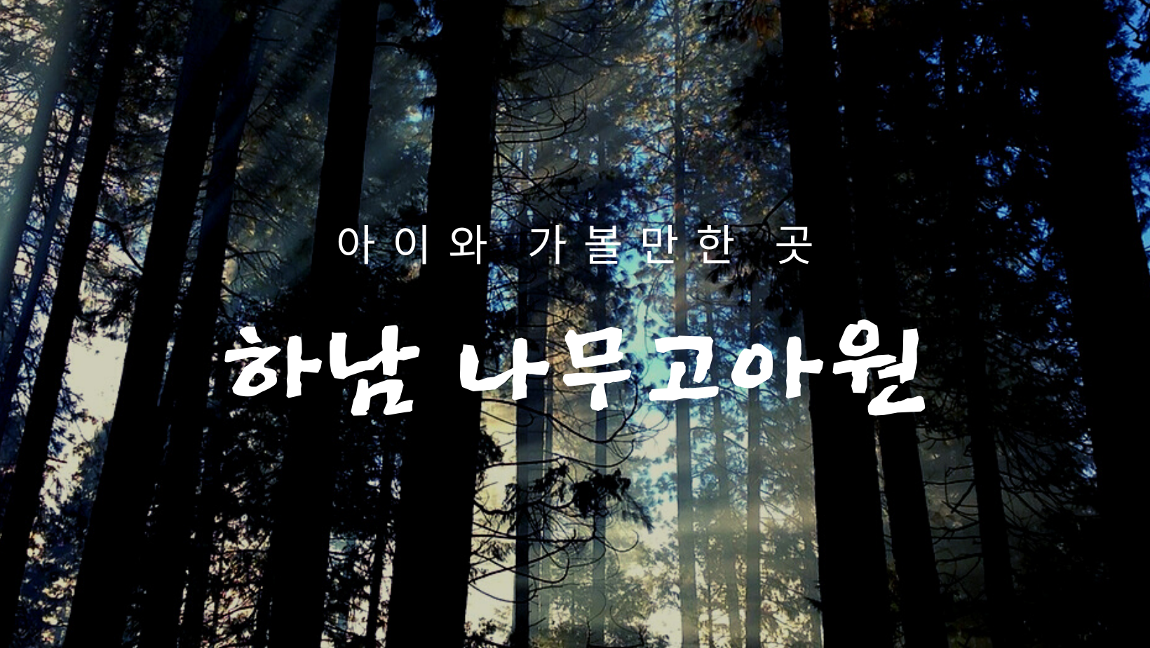  경기도 가볼만한 곳 - 하남 아이와 가볼만한 나무고아원(feat.유아숲체험원)