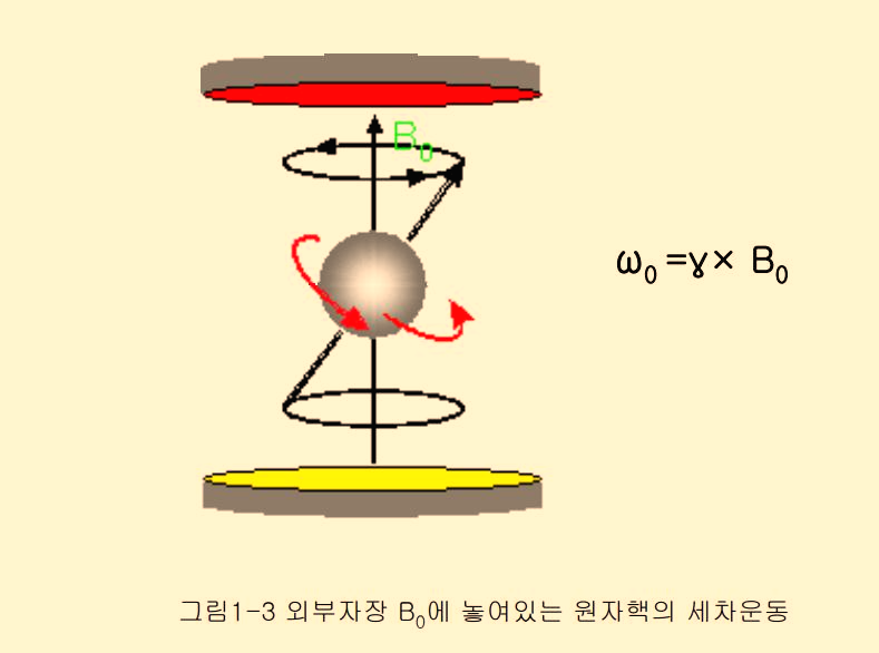  세차운동 (Precession)