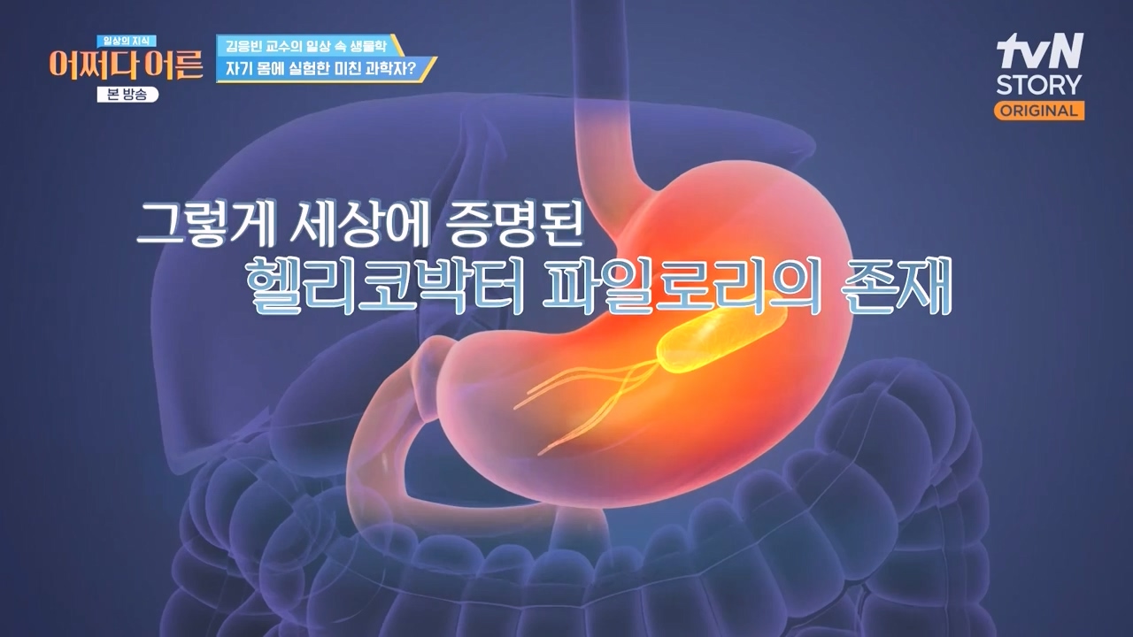 어쩌다 어른.E51.240410p-NEXT.mp4_20240410_173532.566.jpg