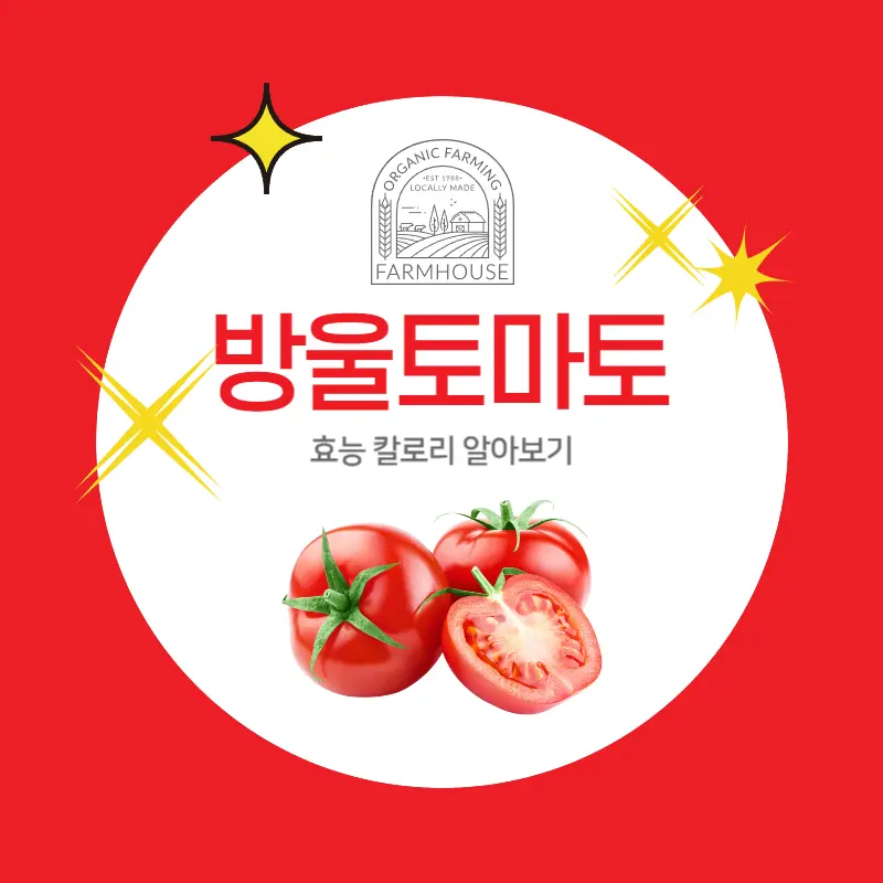 방울토마토 효능 칼로리