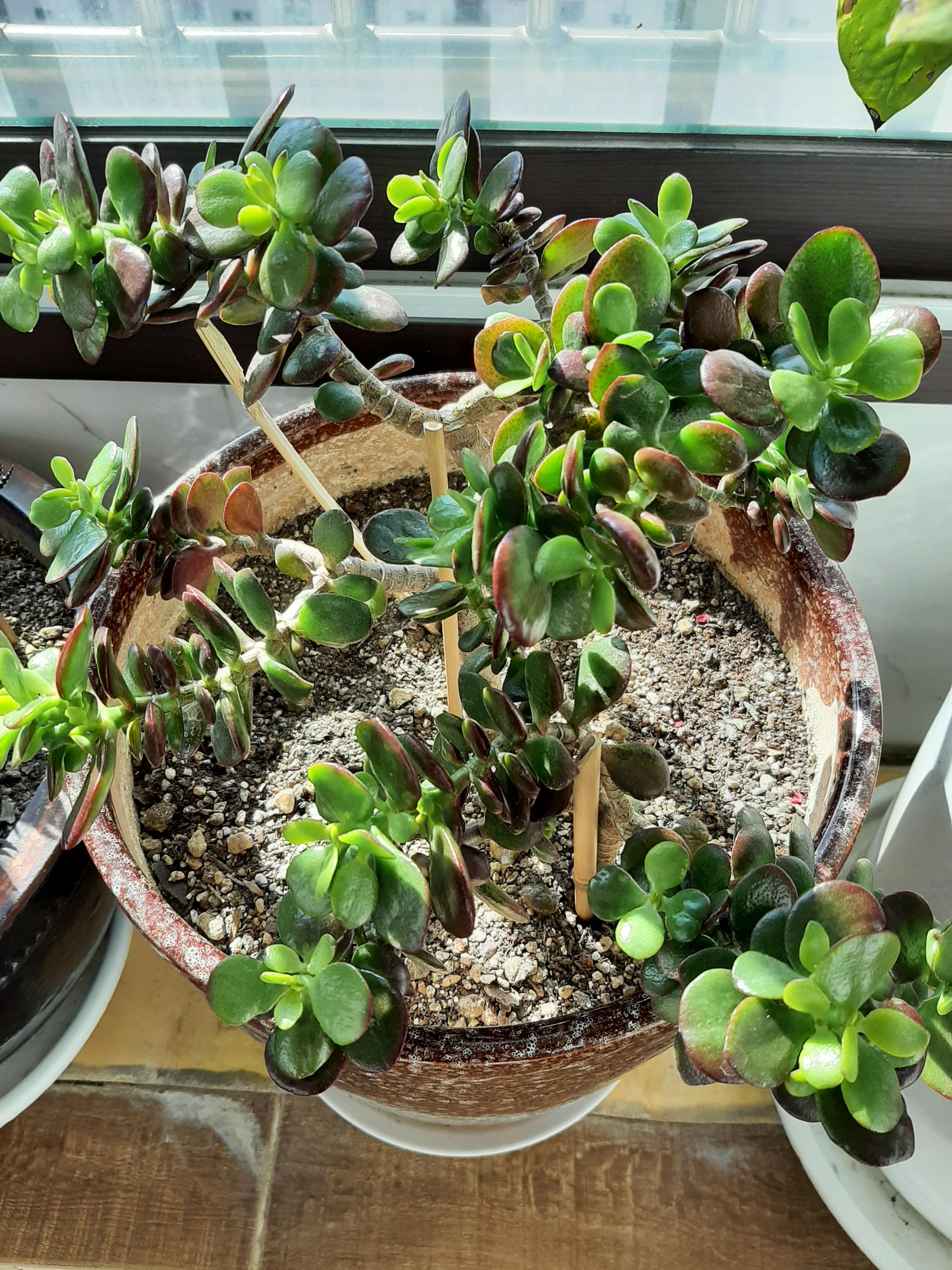 나이엔 졸업이 없고 즐거움엔 정년이 1