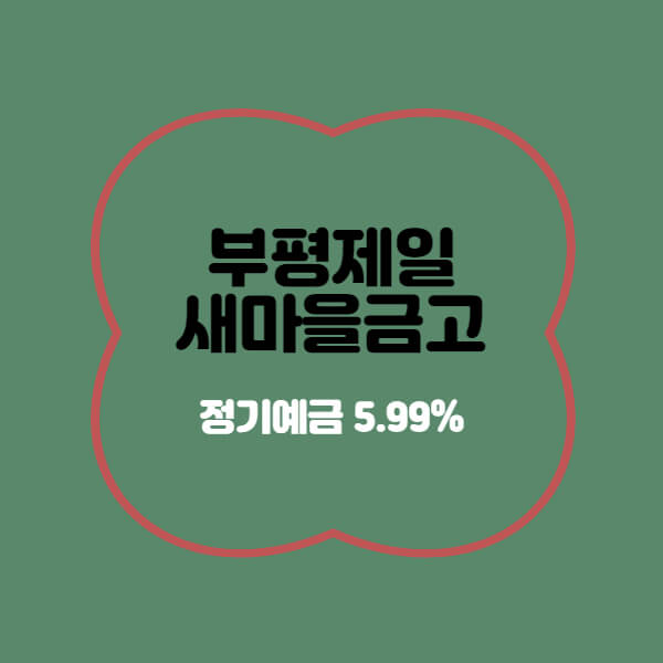  부평제일새마을금고 12개월 금리 5.99% 상품 추천