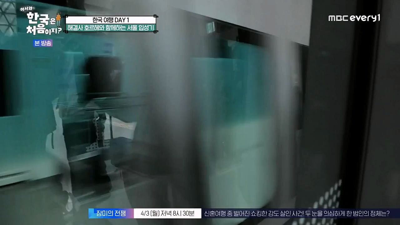 어서와 한국은 처음이지 시즌2.E256.230331p-NEXT.mp4_20230331_203426.960.jpg