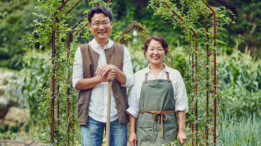  생생정보 사과 농사 기업 농촌 생활 모범 산골 부부 행복한 인생 인터넷 주문 정보 소개