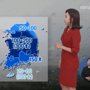  전국 폭우 또, 폭우 피해 사진들과 주말 일기 예보 동영상(feat. 여의도 잉어, 붕어, 메기)