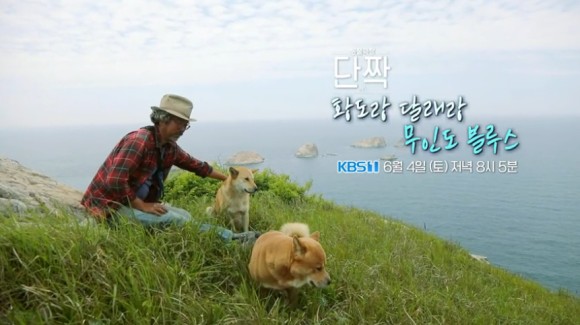 동물극장 절친 이용오 반려견, 동해, 동해, 동해, 자연제작, 아일랜드 위치 19차 동물극장 절친 황도, 동해, 동해, 아일랜드 블루스 촬영지 6월 4일 3