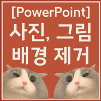 파워포인트 배경 제거