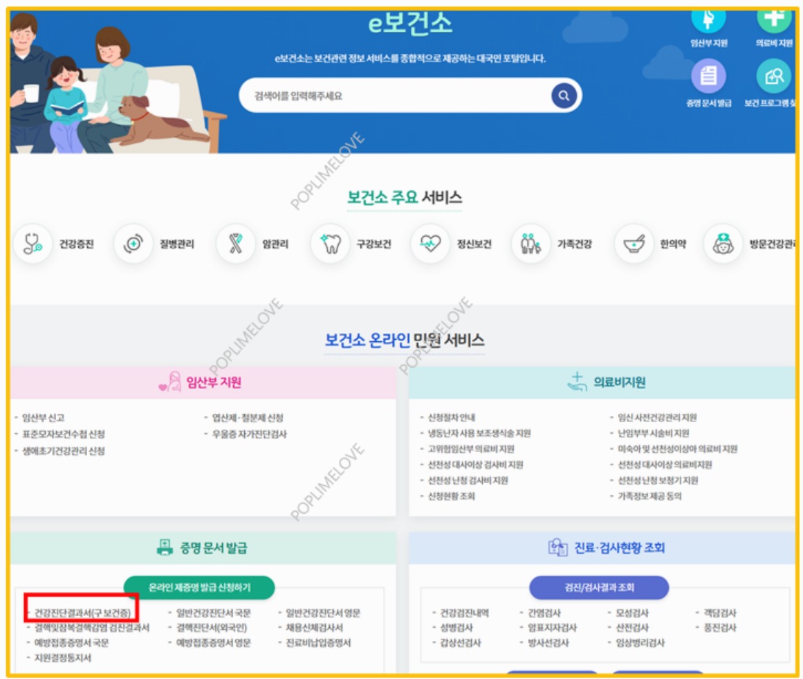 e-보건소 홈페이지 접속