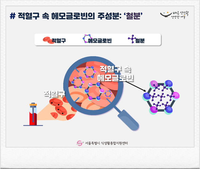  철분제의 종류와 보건소 철분제 비교