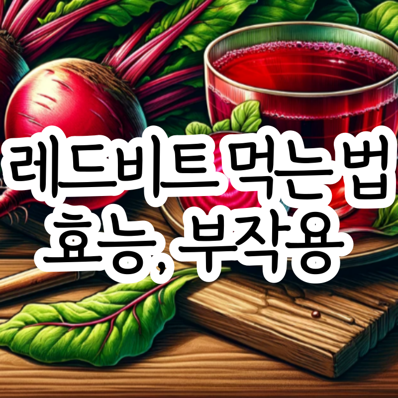 비트 먹는 법 레드비트 효능 부작용 비트차 만드는 법