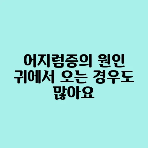 어지럼증의 원인 귀에서 오는 경우도 많아요