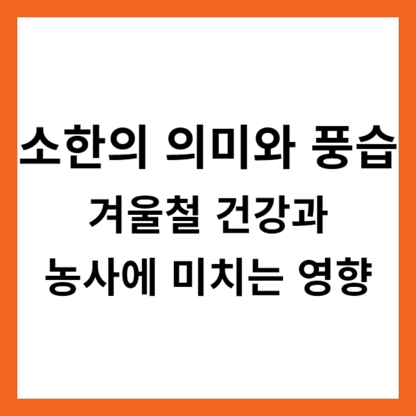 소한의 의미와 풍습 - 겨울철 건강과 농사에 미치는 영향ㅣ소한의 정의ㅣ소한 유래ㅣ소한 풍습ㅣ소한과 관련된 속담ㅣ기후적 특징ㅣ소한을 맞이하는 방법