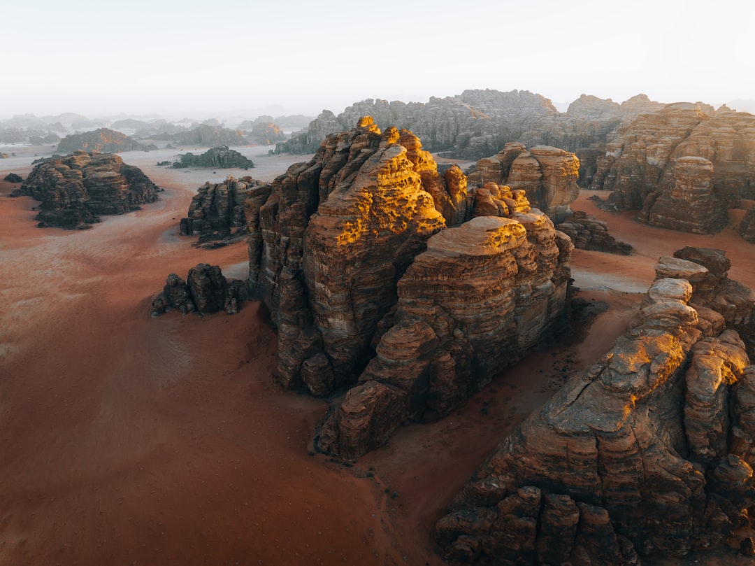 Vista Dongwon