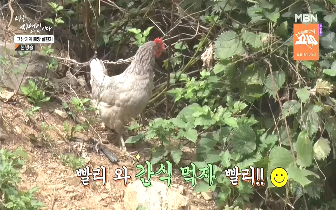 나는 자연인이다.E522.221006p-NICE.mp4_20221006_204519.097.jpg