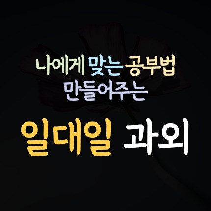  소사벌 수학과외 평택 지제역 중학생 영어과외 초등 중등 고등 국어과외 사회 과학 내신 대비 수능 준비 역사 한국사