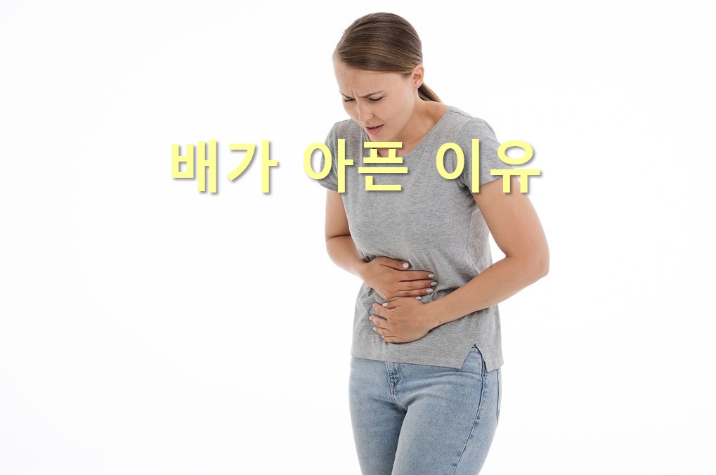  배가 아픈 이유와 배가 빵빵한 이유