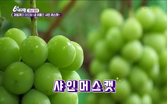 [7612회] 6시 내고향 - KBS7612회] 6시 내고향.ts_20220912_172330.154.jpg