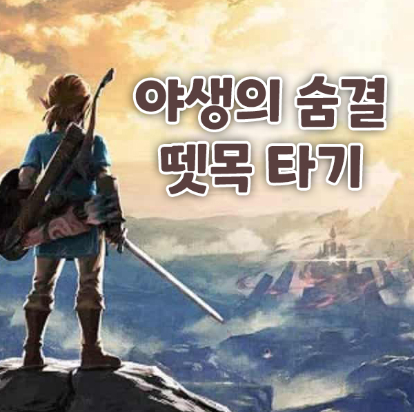  야생의 숨결 뗏목 타기