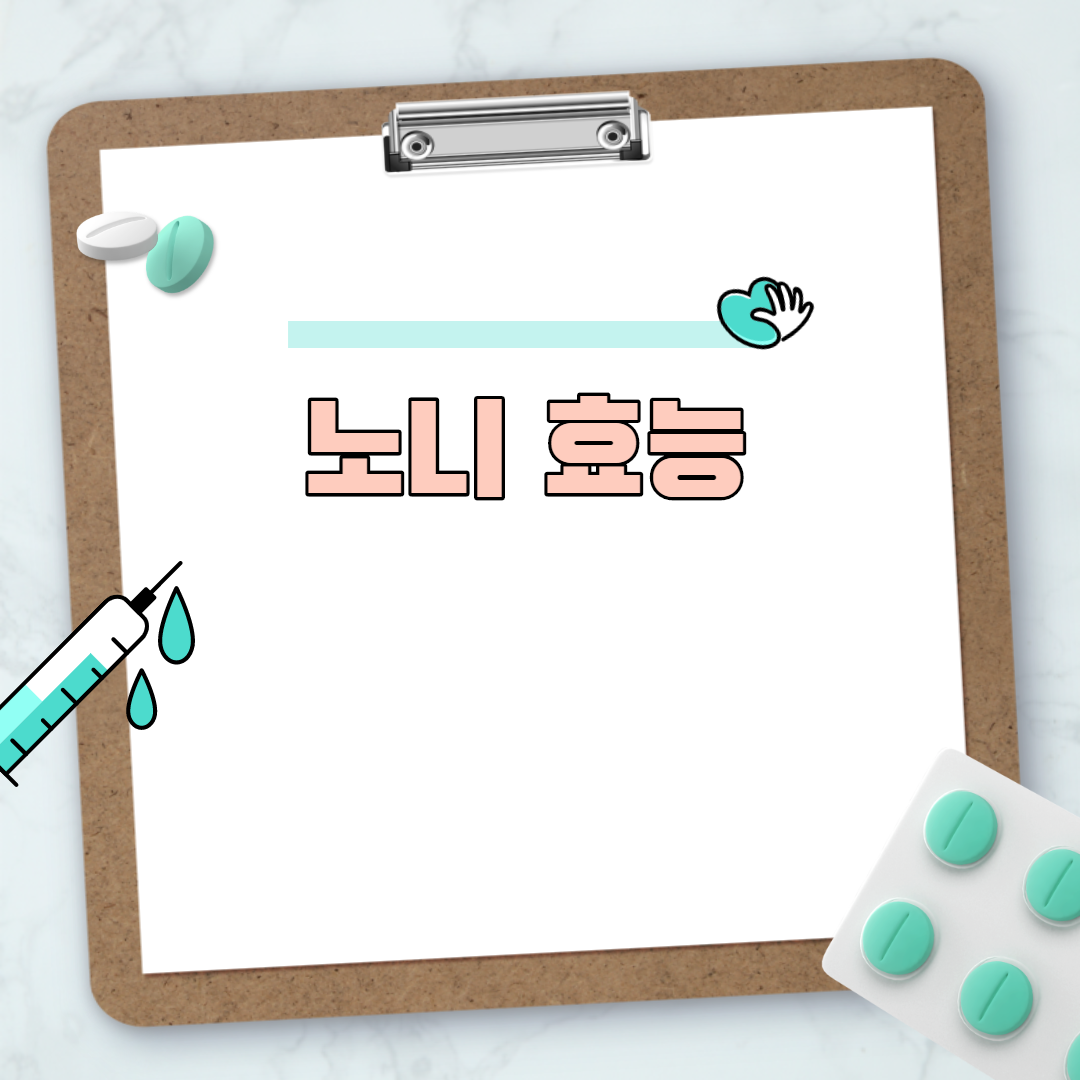 노니 효능