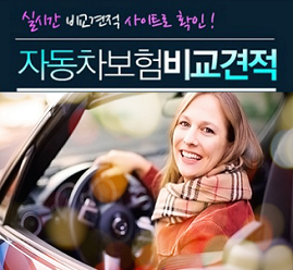  자동차보험료조회 누가 어렵게 하나요?