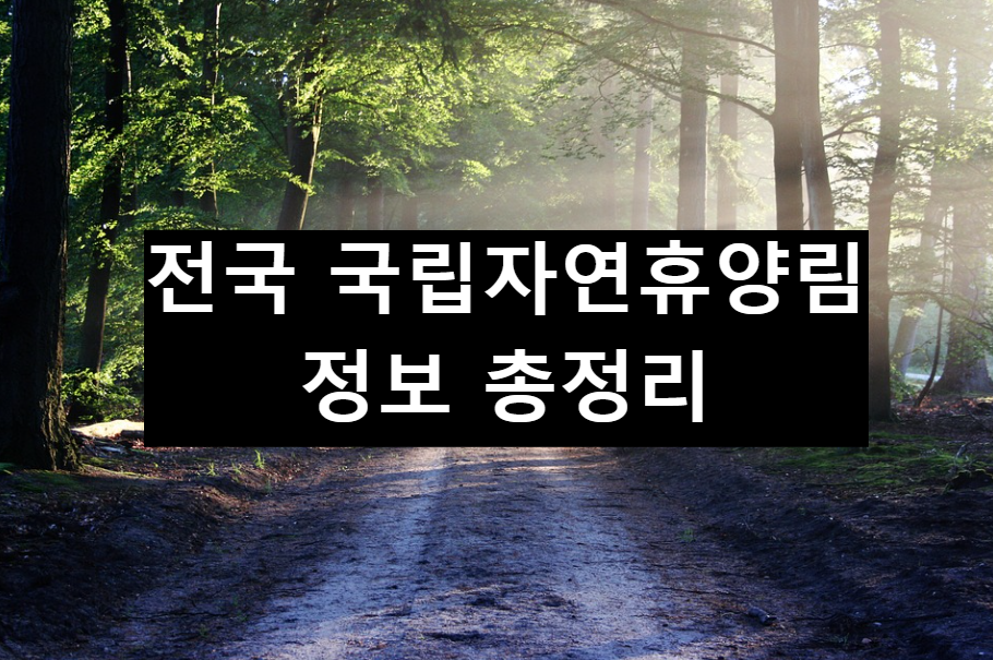  전국 국립자연휴양림 정보 정리