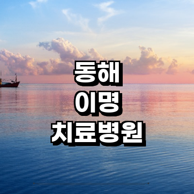 동해시 이명