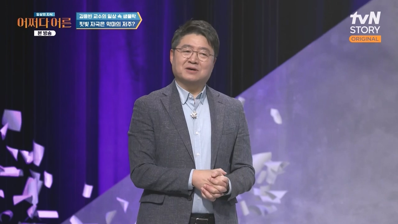 어쩌다 어른.E51.240410p-NEXT.mp4_20240410_180523.258.jpg