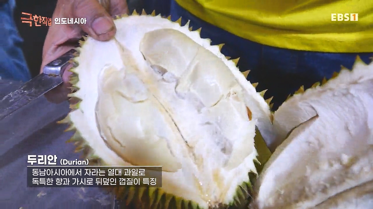 TV - 전 국민의 평생학교 EBS30m의 공포를 견뎌라! 인도네시아 열대과일 수확.mp4_20240103_194835.572.jpg