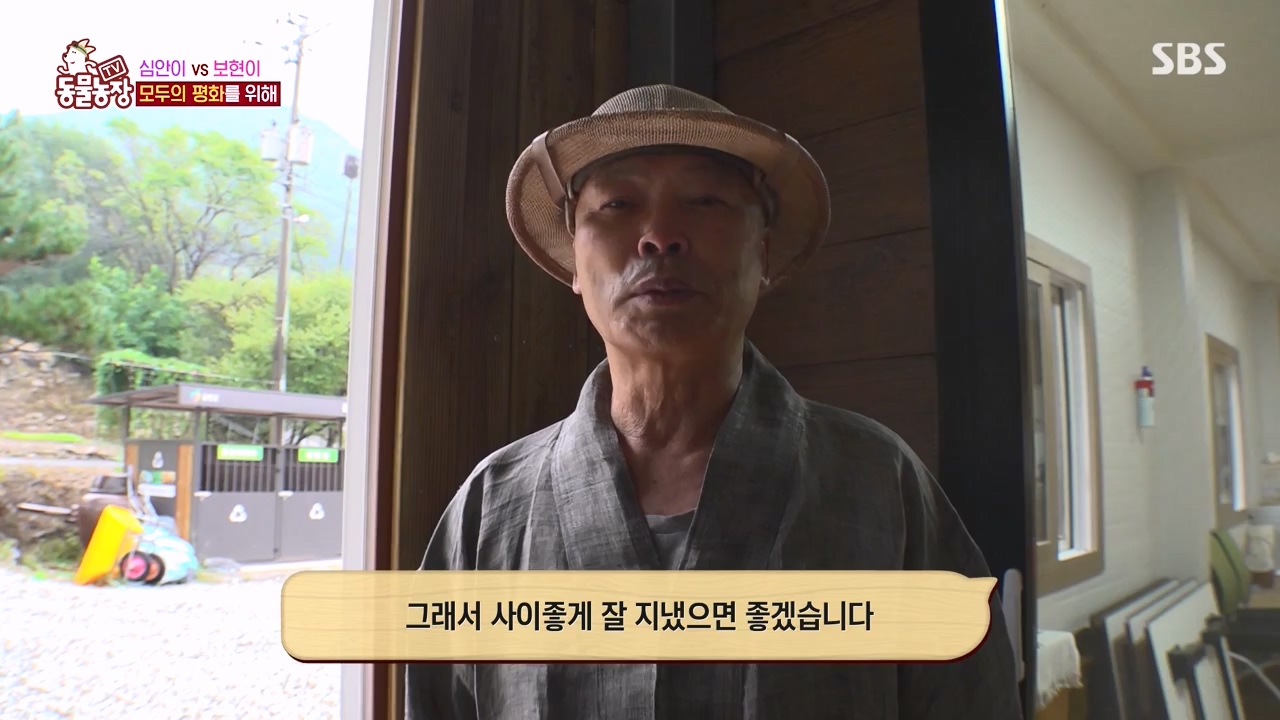 TV 동물농장.E1143.231030p-NEXT.mp4_20231029_164057.167.jpg