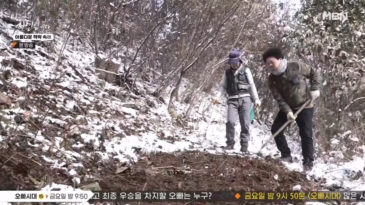 나는 자연인이다.E583.231207p-NEXT.mp4_20231207_195358.898.jpg