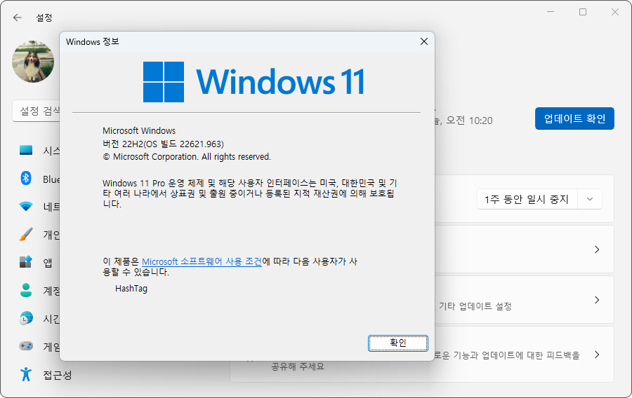 Windows 11 22H2 버전 확인 및 업데이트