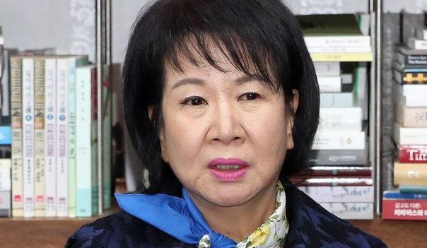  손혜원 의원 프로필 나이 학력 정당 유튜브 목포 부동산 투기 실형