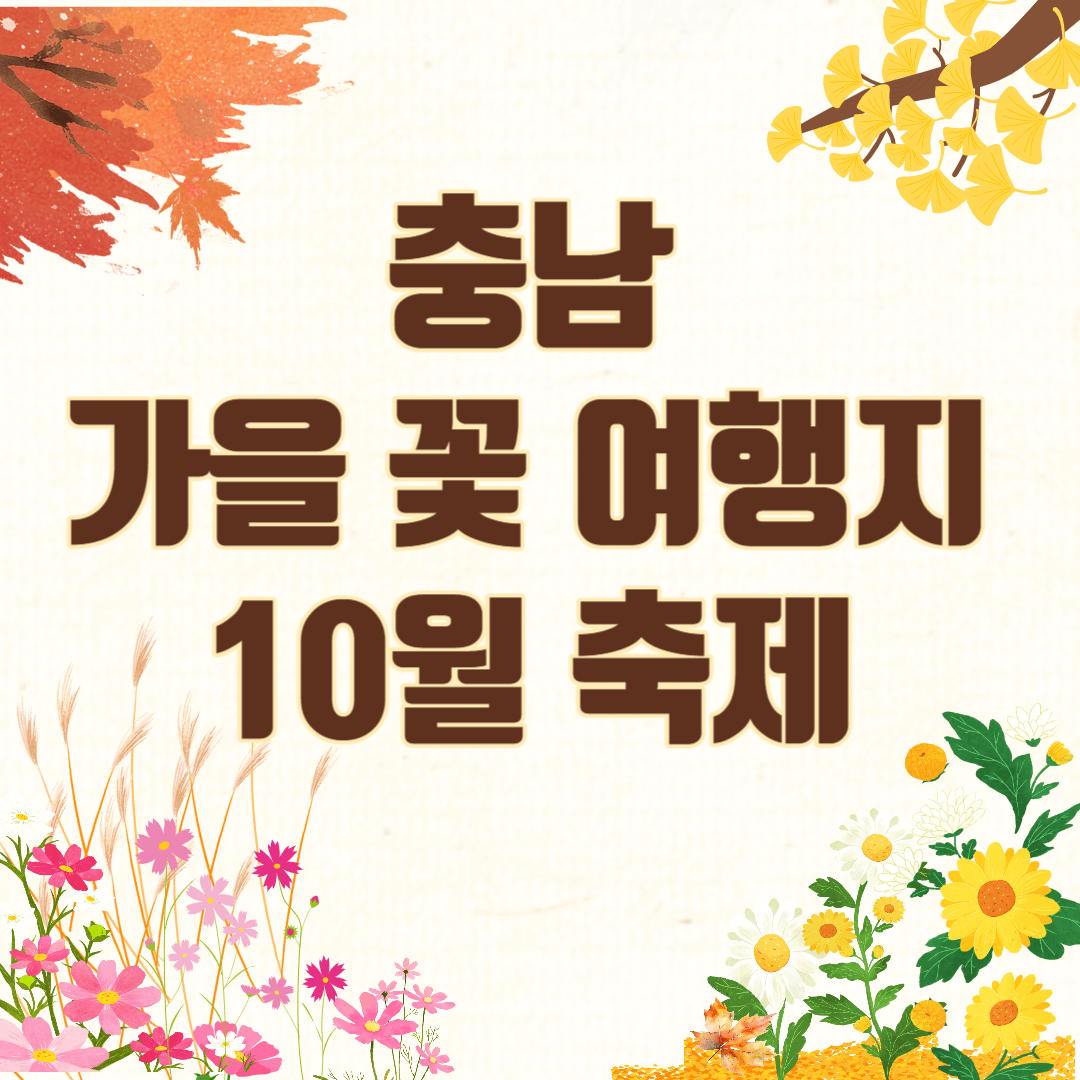 충남 가을 꽃 여행지 10월 축제