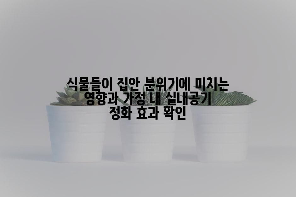 식물들이 집안 분위기에 미치는 영향과 가정 내 실내공기 정화 효과 확인